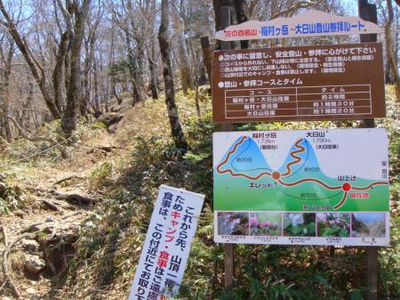 稲村ヶ岳山頂を目指す