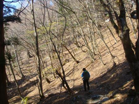 母公堂に戻る途中、ルートがつまらないので白倉山経由で降りることにした。白倉山とのコル手前のところでトラバースして尾根に入る