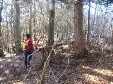 山頂手前はなだらか