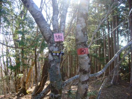 白倉山(1470m)に到着