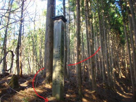 ここに下りてきて登山道と合流した