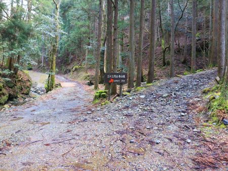 ここが林道分岐。山頂まで3kmと距離的には結構ある感じかも