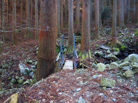この山は人気があるのかかなり整備されていてハシゴなんかもあって歩きやすい