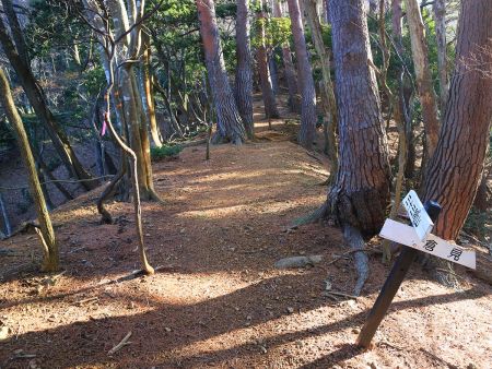 ここで地図を見ると標高約300mで尾根に出る。ここからひたすら尾根道が続く