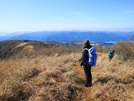尾根の合流から少し歩くと展望の良い芝地になる。こまっちゃんが絵になると思ったので撮影しておいた