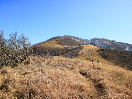 三十三間山のピークが見えた。気持ちの良い芝地を歩いていく感じだとわかったのでテンションが上がってきた