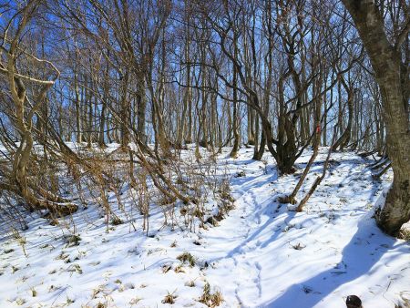 山頂直下あたりから雪道になった。まあ積雪はちょこっとなのでアイゼンなど必要なし