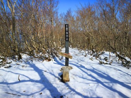 三十三間山山頂(842.3m)に到着。山頂は三角点があるだけで展望も何にもなかった