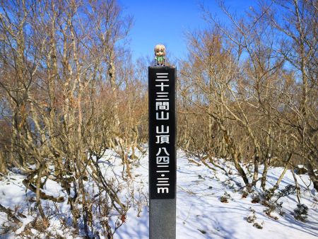 せっかくなので雪村あおいちゃんを撮影しておいた