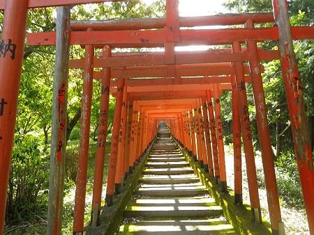 赤い鳥居が立ち並んでいて伏見稲荷を思い出すけど、こういうところって他にもあったと思う