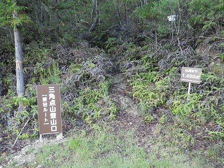 愛宕ルートの登山口からいよいよ入山して登っていく。山頂まで1400mってことは距離は短いけど、その分一気に標高を稼ぐと予想できる