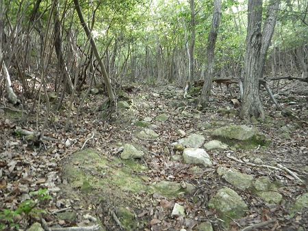 急登まではいかないけど、やはり一気に登る感じになっている。若干つづら折れにはなっているもののほぼ直登で、しかも雨上がりのせいなのか滑りやすいガレ場だった