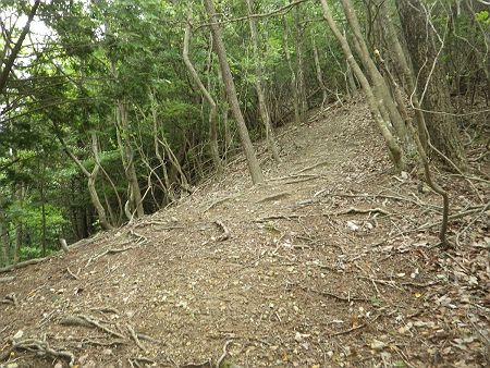 ここから尾根の登りになるけど日陰になってるところはやはり落ち葉が湿っていて滑りやすかった