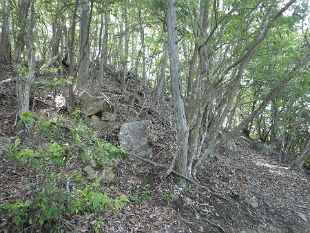 ピークを巻いているんだけど、踏み跡がついていた。ピークに登っても何もなさそうだけどね