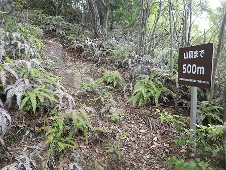 山頂まで500m地点まできた。地図でみてもわかるけど、ここからはなだらかな登りになっているので山頂までは早く着きそうだ