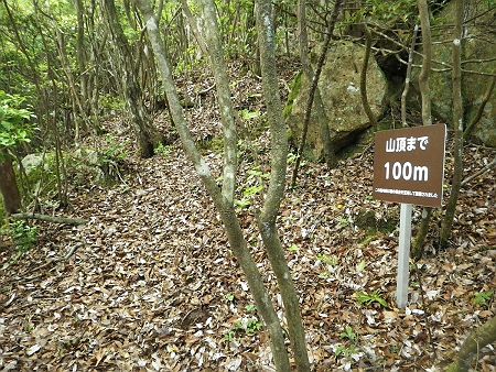 山頂まで100m地点まで登ってきた。まもなく到着といった感じだね。最後は急登かと思ったけど普通の登りだった
