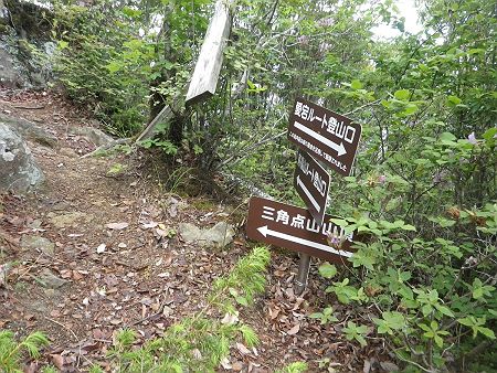 山頂直下の分岐。下山時はこの南福谷ルートで下る