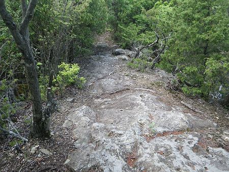 南福谷ルートの最初は少し急斜面の岩場が続くが日陰になっているところは湿っていて滑りやすいので注意した