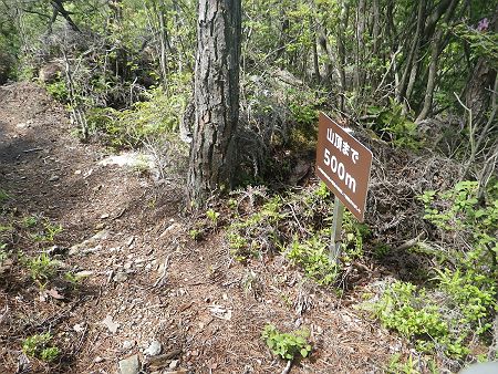結構下ってきて山頂まで500m地点にきた。こっち側から登るほうが最後がしんどいかもね