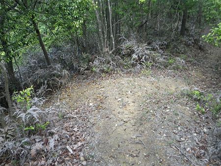 ここで分岐。岡稲荷神社へは右へ行くのが正解なのは一目瞭然だったから迷いはしなかったけど左にいくとP339のほうへ下ってしまう