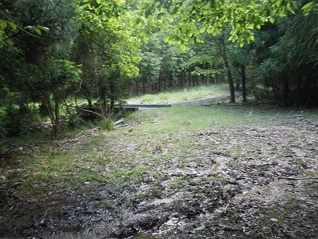ここで登山道が終わる。靴が汚れそうなぬかるみをよけながら歩いたけど、結局完全には避けられなかった
