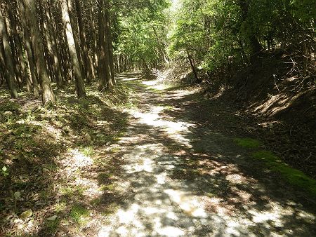 林道を岡稲荷神社ほうへ歩きながら戻っていく