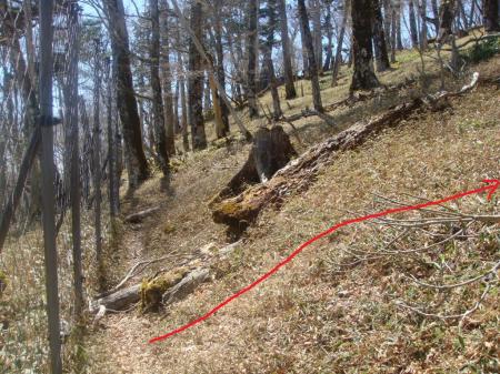 ネット沿いにったこの付近から右の名古屋岳のピークを目指す