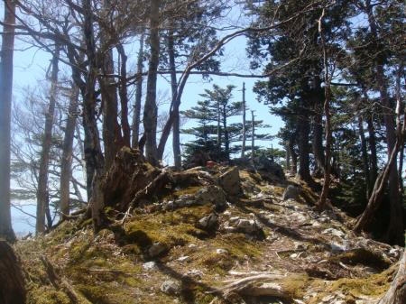 名古屋岳のピーク