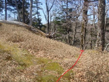 名古屋岳から少し戻って三津河落山へ。一旦コルへ下る