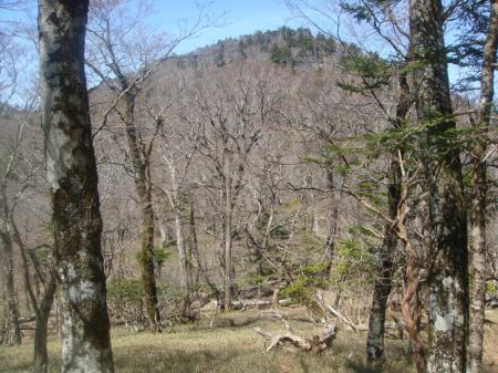 三津河落山のピーク