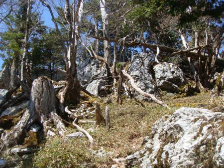 三津河落山の山頂付近は大きい岩があったりガレ場になっていた