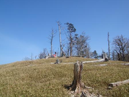 振り返るとS嬢と母。なんか絵になっていた