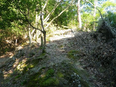 ボテ峠から猿子城山までは尾根道でプレートがあった