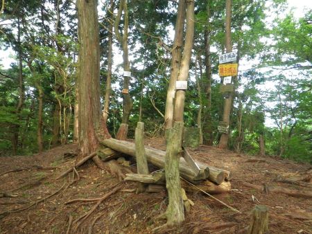 猿子城山(709m)に到着。久しぶりの登山だったのでこの段階でもう疲れて休憩した