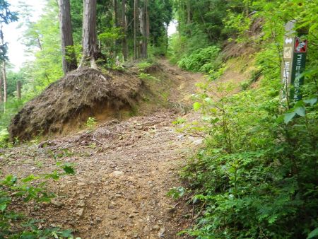 広い道に出た。ここは直進するんだけど左側に下るとどうなるんだろうか！？