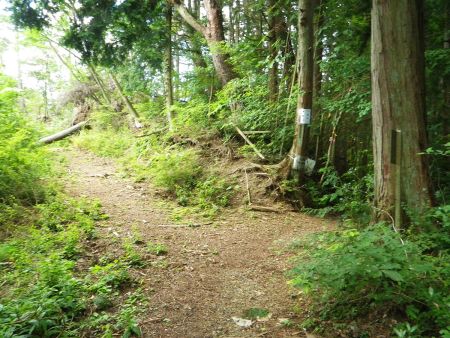 ここで分岐。右に行くと三国山で上山は左側の道を進む。昔は三国山もセットで登ってやろうと計画したことあった