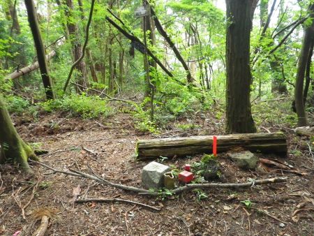 上山(777m)に到着。猿子城山の山頂と違ってポツンっと三角点があるだけだった