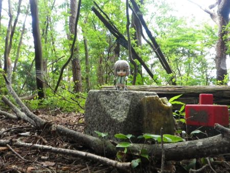 上山の三角点と雪村あおいちゃんを撮影しておいた