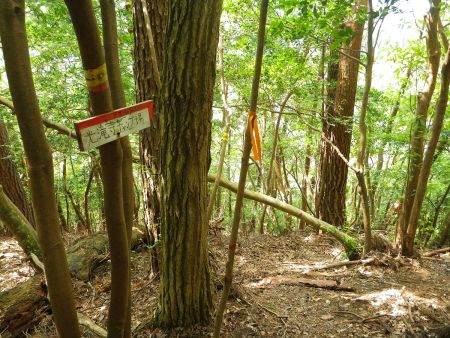 途中で光滝寺キャンプ場へのプレートがあった。こういうのがあってくれると安心する