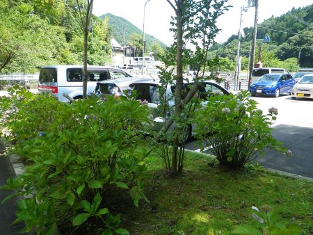 有料駐車場に到着。4時間ほどの山行だったけどお疲れ様でした。すぐに駐車料金を支払ってくれとおじさんがやってきた