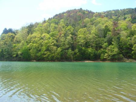 コバルトグリーン