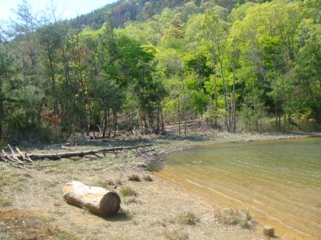 この付近もテン場にいい感じ