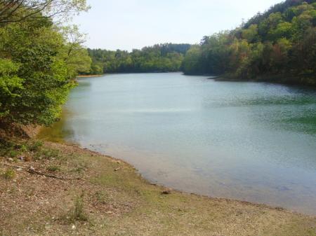 駐車場に戻り沢の池を振り返る