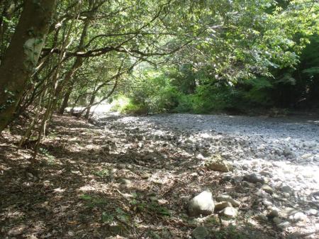 堤防をあがると少しの間、水がなくなる