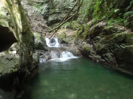 この付近はもう水が綺麗になる