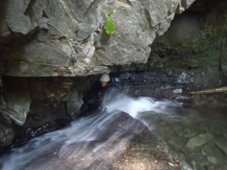 流れに逆らって登る