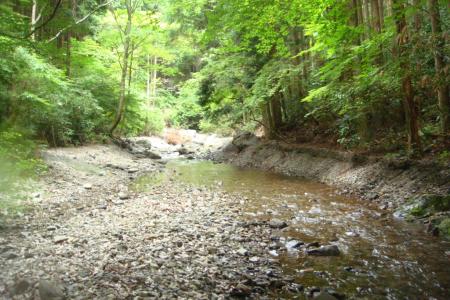 ここから少し落ち着く