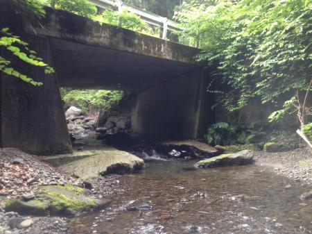 今日はこの橋まで早かった