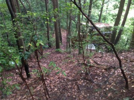 この廃墟小屋までくれば急斜面終わり