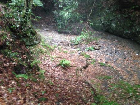 入渓ポイントへ。お疲れ様でした